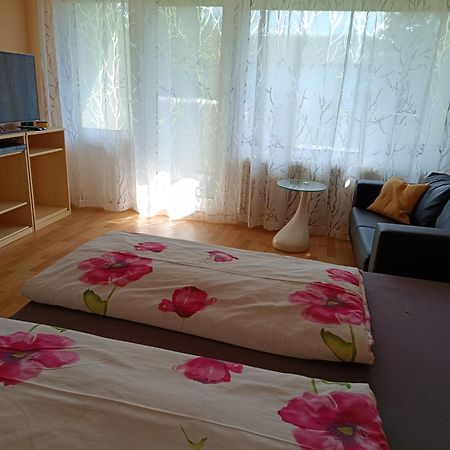Offenburg Apartment Ngoại thất bức ảnh