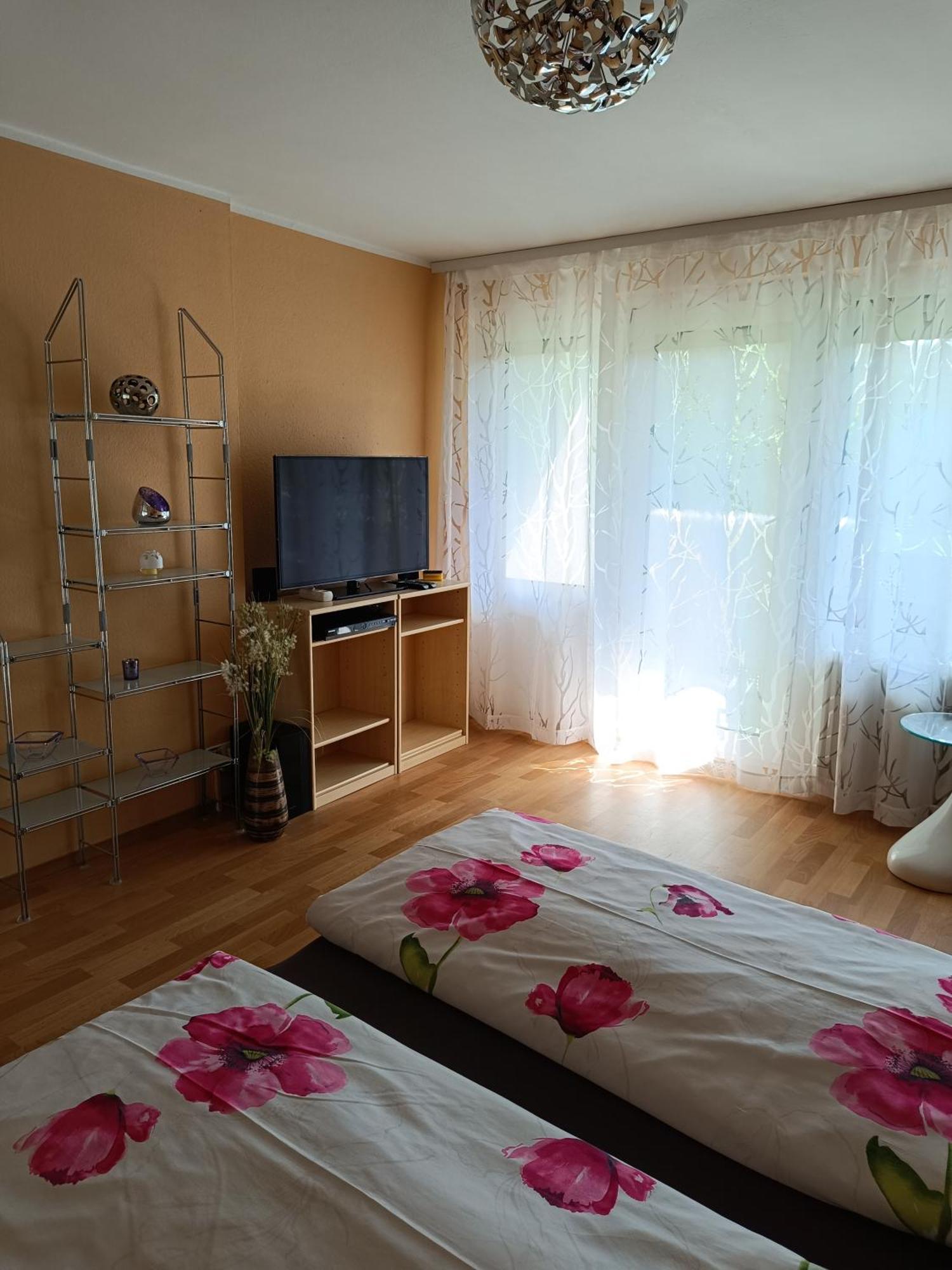 Offenburg Apartment Ngoại thất bức ảnh